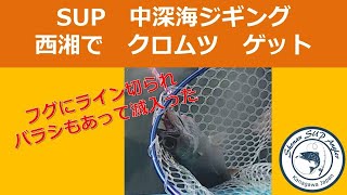 西湘の海　トラブルばかりで滅入った、、、　2021年8月11日釣行