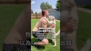 警告各位飼主：千萬不要教你的狗勾擁抱