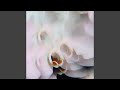 Chameleon (Plaid Remix)