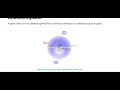 celestial equator