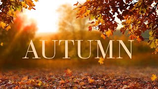 2 Hours Of Soothing Guitar Music with Autumn Background: Perfect for Relaxation and studying