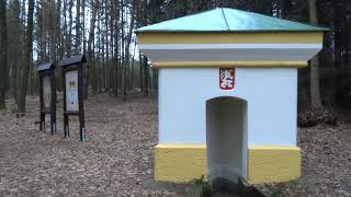 Hradecké lesy-Císařská studánka Unor 2019