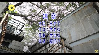 王中平 - 無奈