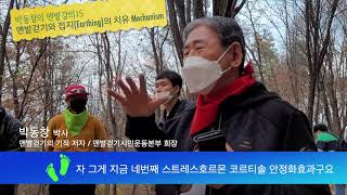 박동창의 맨발강의15: 맨발걷기와 접지(Earthing)의 치유 Mechanism