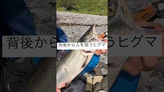 背後から人を狙うヒグマ