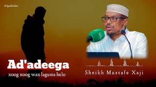 Xoog Xoog Wax Laguma Helo || Sh Mustafe Xaaji Ismaciil @OGAALBULSHO #wacdi  #shmustafe #somalia