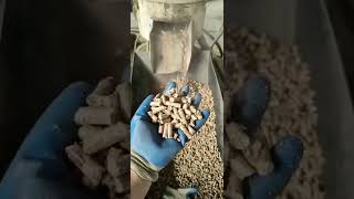 Sawdust Pellet Machine