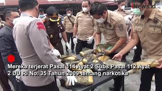 Polres Pematangsiantar Musnahkan 14,5 Kilogram Ganja