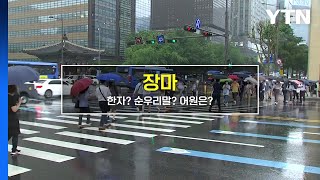 [짤막상식] 장마 한자? 순우리말? 어원은? / YTN