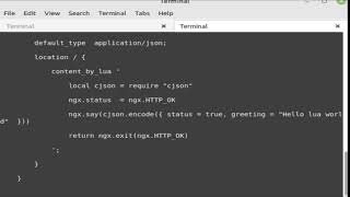 Programming {{ nginx embedded lua }} json hello world api