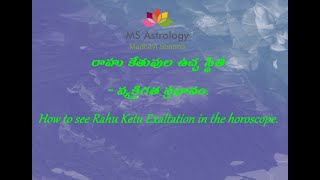 How to see Rahu Ketu Exaltation in the horoscope. MS Astrology - Vedic Astrology in Telugu Series.