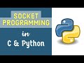 Socket Programming in C and Python: Server in C and Client in Python | TCP Client Server Program