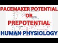 Pacemaker potential, PREPOTENTIAL,  Autorhythmicity of Pacemaker tissue