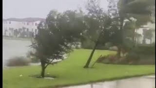 Trees battered by wind as Hurricane Ian hits Florida