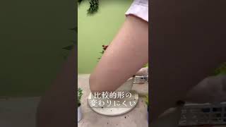 秋の寄せ植え