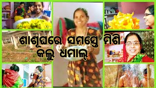 ଶାଶୂଘରେ ସମସ୍ତେ ମିଶିକରୁଚୁ ଧମାଲ୍,ଦେବର କିନିଛନ୍ତି ବଡ଼ଭାଇ ପାଇଁବହୁତ୍ ଖାସଜିନିଷ,Chillar partyମୌଜ mastiଚାଲିଛି