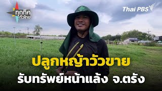 ปลูกหญ้าวัวขายรับทรัพย์หน้าแล้ง จ.ตรัง | ทุกทิศทั่วไทย | 3 พ.ค. 67