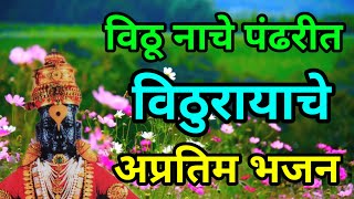 विठुरायाचे अप्रतिम भजन | एकच नंबर ठेका आहे या भजनात | विठू नाचे पंढरीत #bhajan #abhang #vitthal