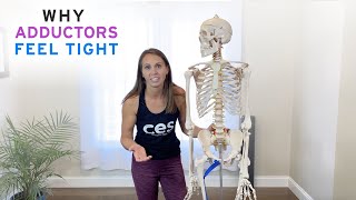 Why Adductors Feel Tight