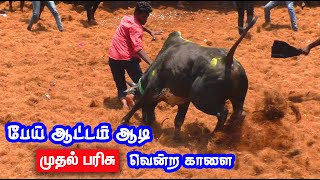 பேய் ஆட்டம் ஆடி முதல் பரிசு பெற்ற காளை... Tamizhan Trending