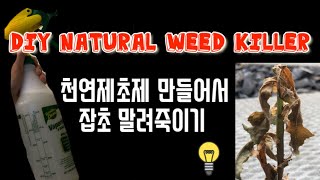 How to make Natural Weed Killer with Salt, Soap and Vinegar 잡초제거 천연제초제 만드는법