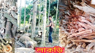 লাকড়ি দেখুন। গাছের ডালের লাকড়ি দেখুন। আম গাছের লাকড়ি। কড়ই গাছের লাকড়ি ইত্যাদি দেখুন ।