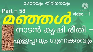 മഞ്ഞൾ- സ്ഥലക്കുറവുള്ളിടത്ത് കൃഷി ചെയ്യുന്നത് /Turmeric farming malayalam/manjal krishi