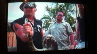 Billy the exterminator catches python