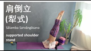 肩倒立（犁式）- how to: supported shoulder stand (Sālamba Sarvāngāsana)