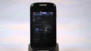 ZTE K-Flex(V793): Turn off / on data services