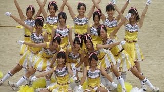 2008 筑紫丘高校大運動会 黄チアリーディング