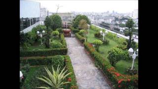 Biophilic Urban Design Video