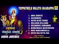 ಎಪ್ಪತೇಳು ಮಲೆಯ ಮಾದಪ್ಪ yeppathelu maleya maadappa sri male mahadeshwara songs b v srinivas