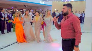 İMAD MEMED & ALmanya - Dawet DELİLO [ 2024 ] Shexani wedding