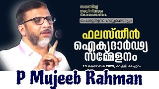 P Mujeeb Rahman/സയണിസ്റ്റ് അധിനിവേശ ഭീകരതക്കെതിരെ ഫലസ്തീൻ ഐക്യദാർഢ്യം/ പൊരുതുന്ന ഗസ്സക്കൊപ്പം