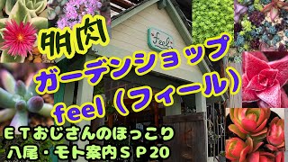 八尾市モト案内ＳＰ２０　ガーデンショップfeel