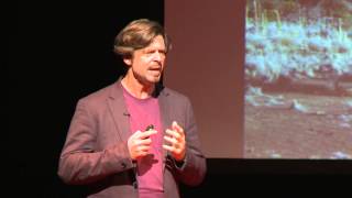 Let's put robots in space: Philip T. Metzger at TEDxOrlando