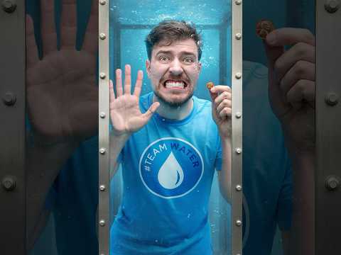 1 Subscriber 1 Penny Donated Transcript Cockatoo