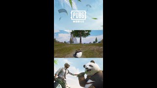 PUBG MOBILE | Cruising with the Panda 🐼