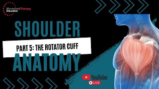 Discover the Wonders of Rotator Cuff Anatomy!