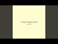 Tranquil Fragile Clouds