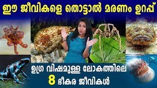 ഈ ജീവികളെ തൊട്ടാല്‍ മരണം ഉറപ്പ് | Poisonous Creatures in The World | Oneindia Malayalam