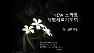 철산흰돌교회   뉴스타트 특별새벽기도회(청소년부) 실시간  (23.02.22)