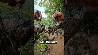 LIVE Bait vs CUT Bait
