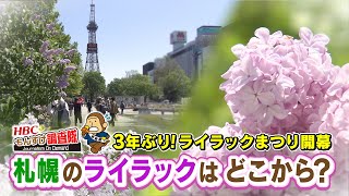 【３年ぶりに開幕！】『札幌のライラックはどこからきたの？』（さっぽろライラックまつり）【もんすけ調査隊】2022年5月20日(金)放送 HBC「今日ドキッ！」