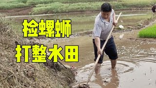 勇哥拉10包肥料，一家人打整田边杂草淤泥，为插秧作准备【乡野勇哥】