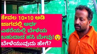 ಕೇವಲ 10×10 ಅಡಿ ಜಾಗದಲ್ಲಿ ಅರ್ಧ ಎಕರೆಯಲ್ಲಿ ಬೇಳೆಯ ಬಹುದಾದ ಹಸಿ ಮೇವು!😲 ಬೇಳೆಯುವುದು ಹೇಗೆ?