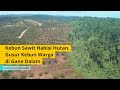 KEBUN SAWIT HABISI HUTAN | Gusur Kebun Warga di Gane Dalam