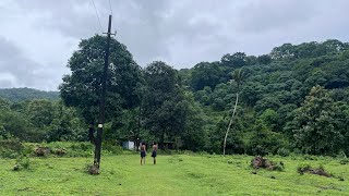 പച്ചയായ സത്യം