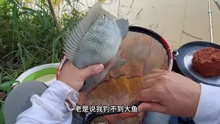 探钓增城西福河支流钓点，没想到还能钓到这种鱼